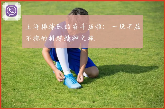上海排球队的奋斗历程：一段不屈不挠的排球精神之旅
